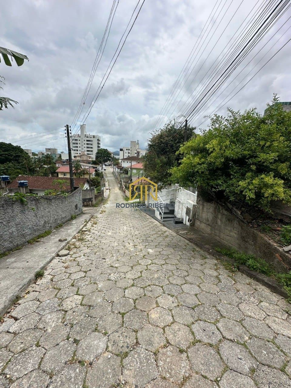 Imagem da propriedade C317 13
